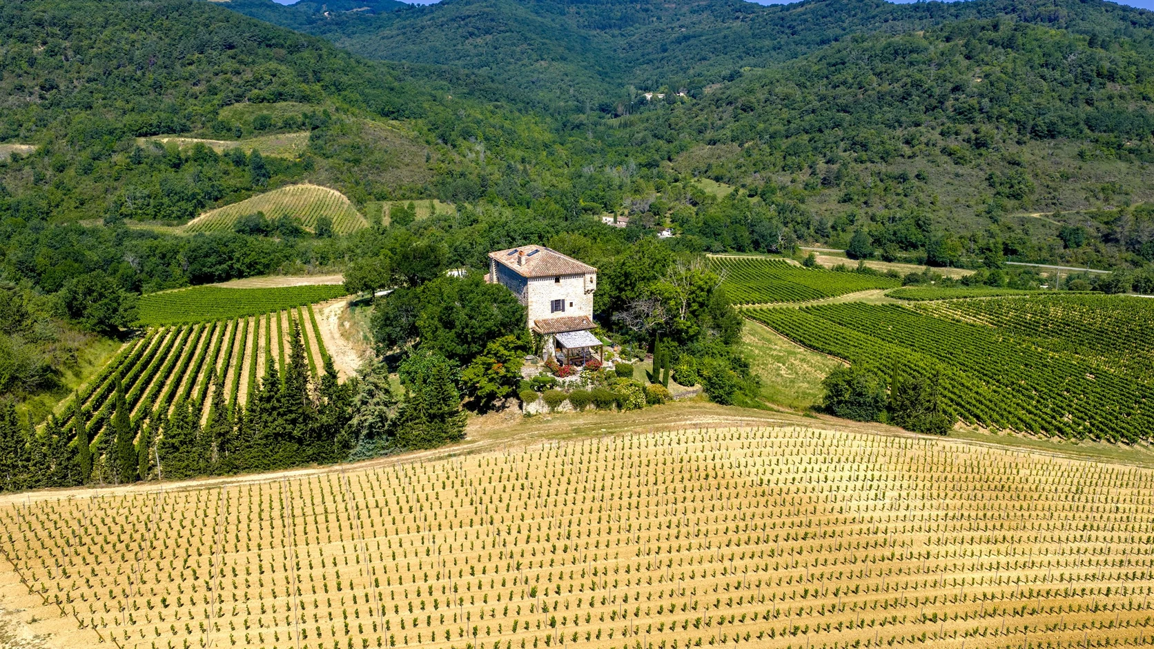 Le Château de Tournou au milieu des vignes et des collines de l’Aude